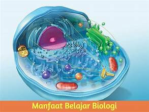 BIOLOGI KELAS XI